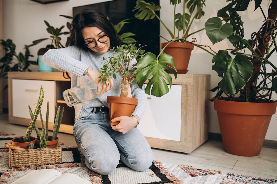 un intérieur feng shui avec des plantes